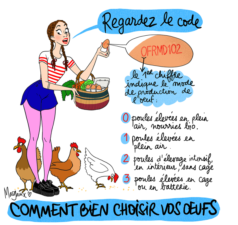 Les oeufs